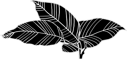 Leafs
