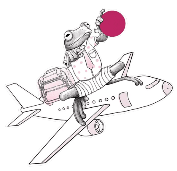 Plane
